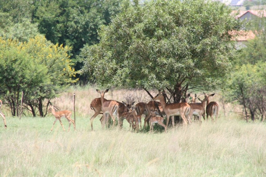 4 Bedroom Property for Sale in Hartbeespoort Rural North West